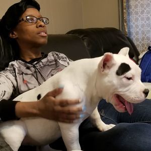 Meet your Posher, Joel